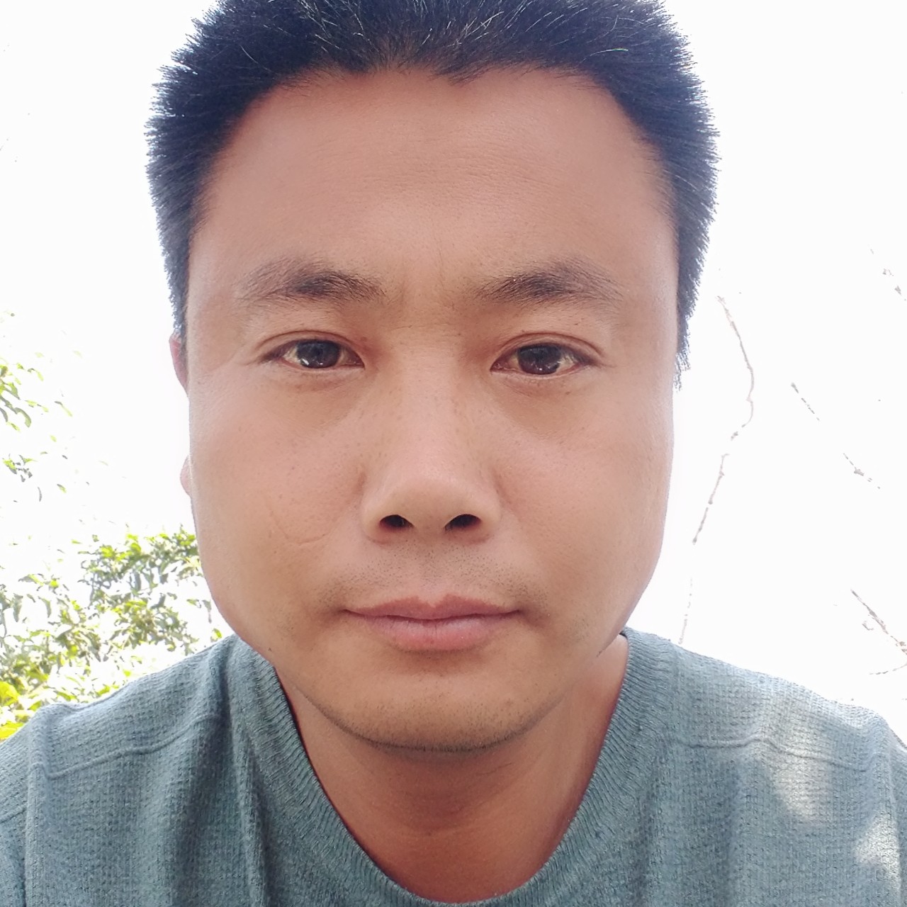 从容請青衫的照片