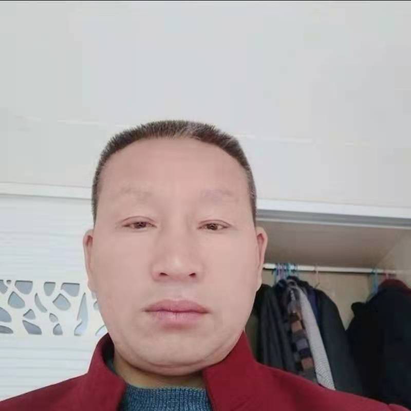 文艺向宝马的照片