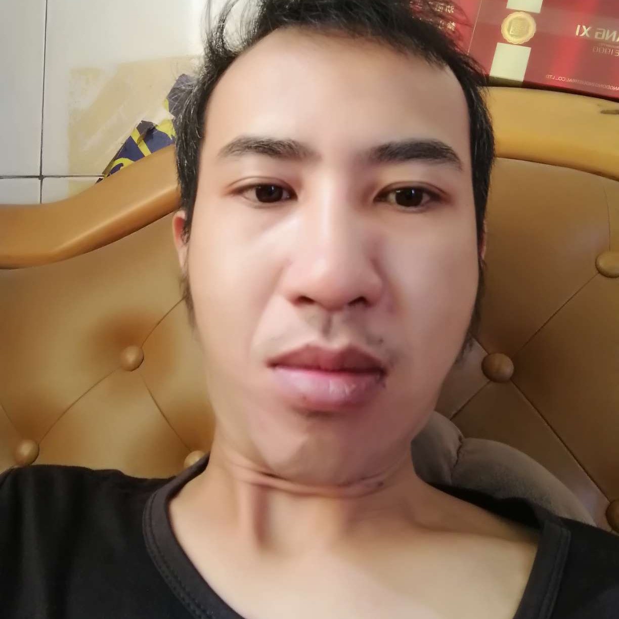 曲奇迎有魅力的照片