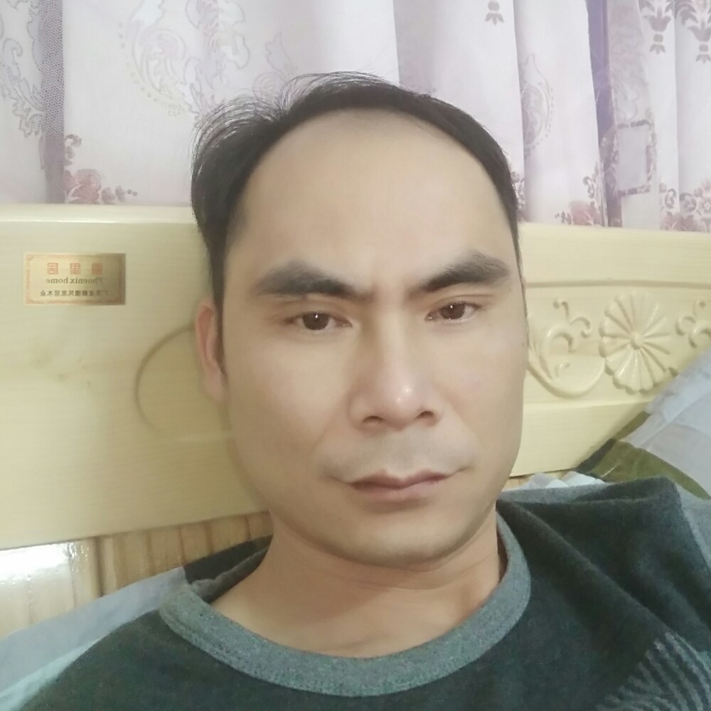 含羞草美丽的照片