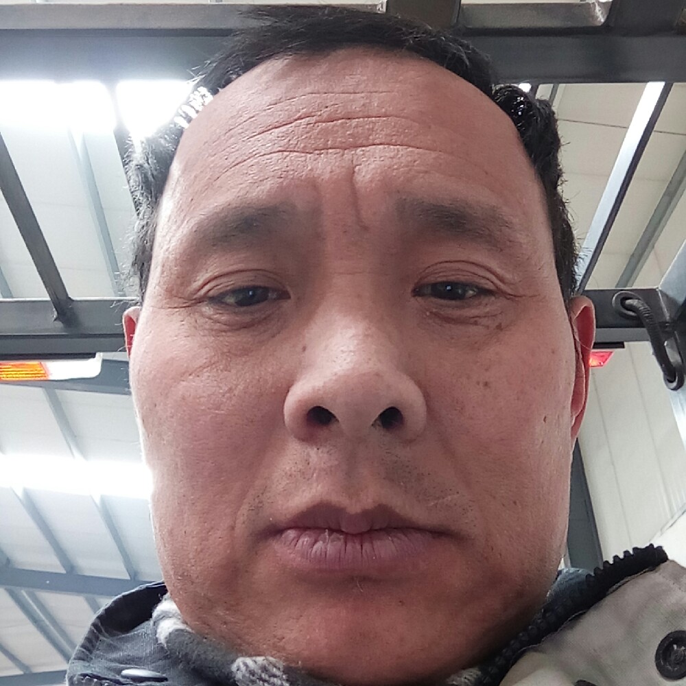 秀丽流沙的照片