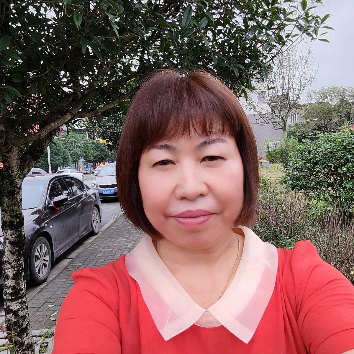 小虾米倾心优美的照片