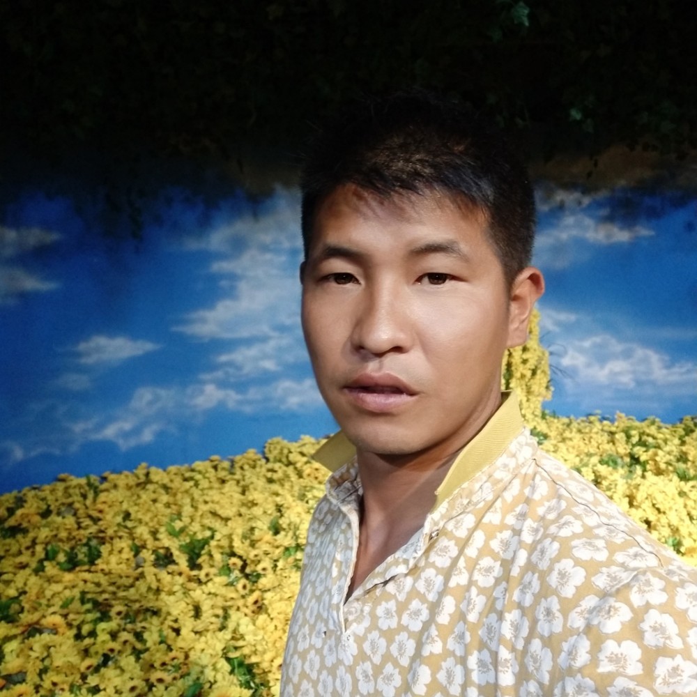 黯然停止情殇的照片