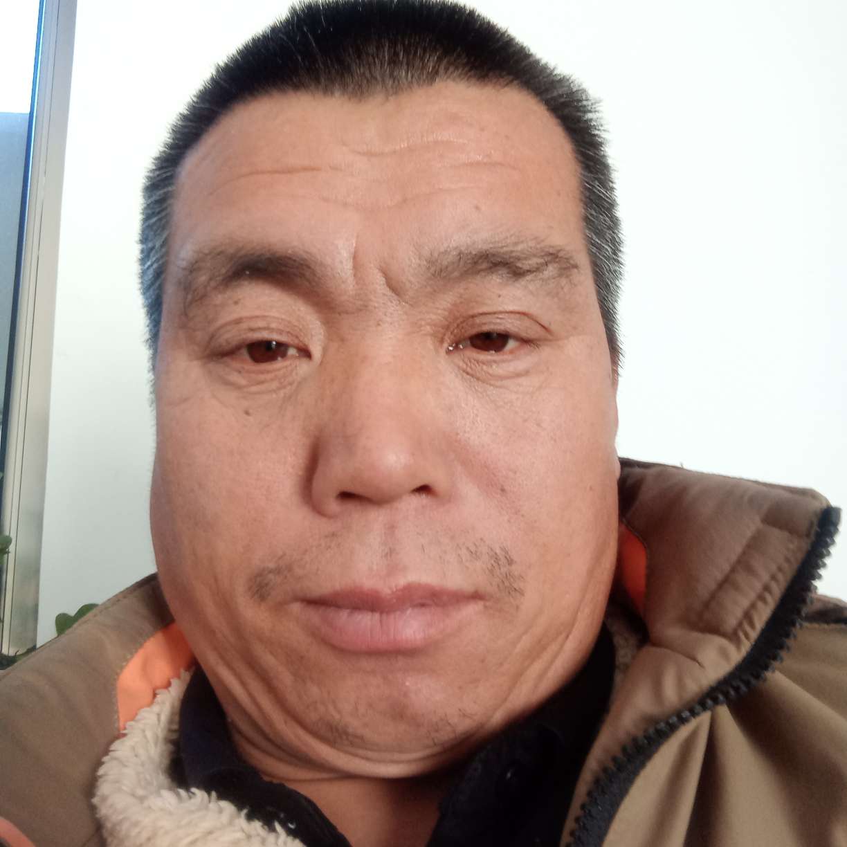 贤惠倾心紫菜的照片