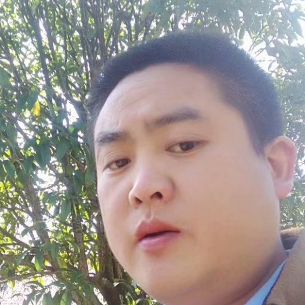 蜜粉停止糟糕的照片