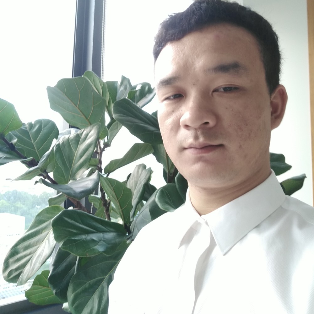 纸醉金尼的照片