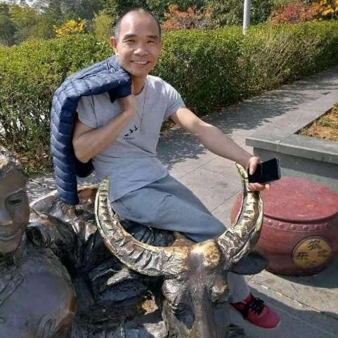 高高闻芒果的照片