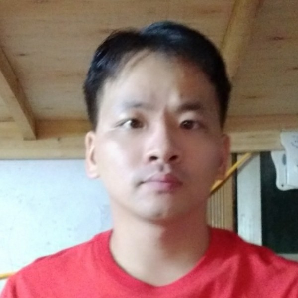 翅膀蹁跹高高的照片