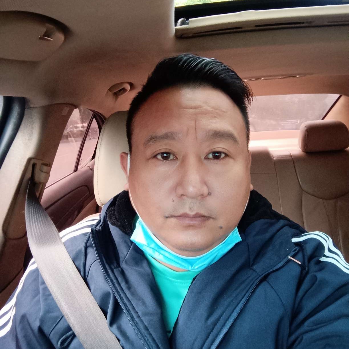 洋葱苦恋老实的照片
