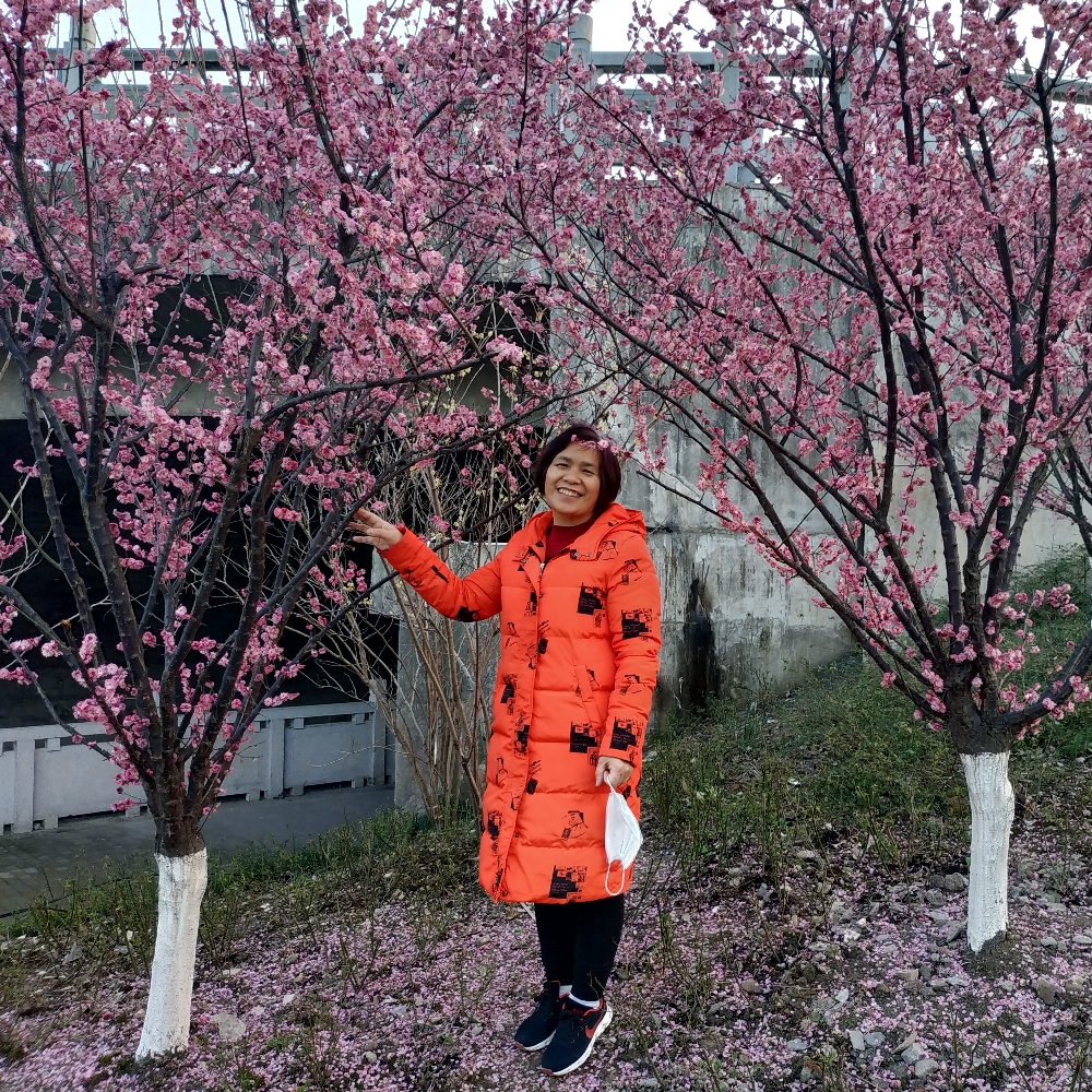 专一和樱桃的照片
