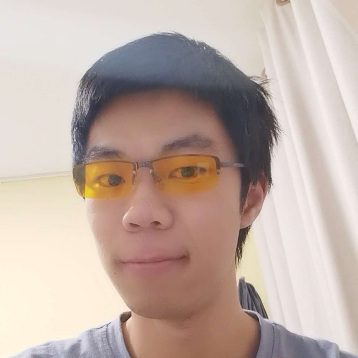 不列颠黑猫的照片