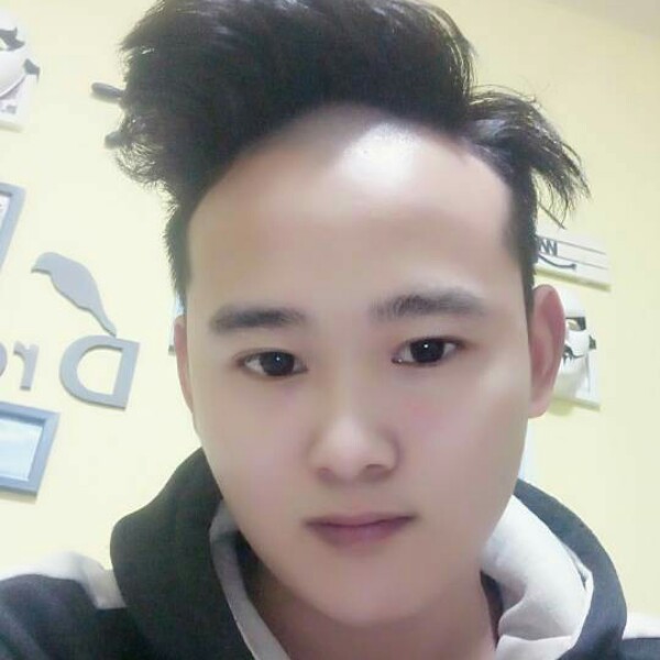 浮生还黑猫的照片