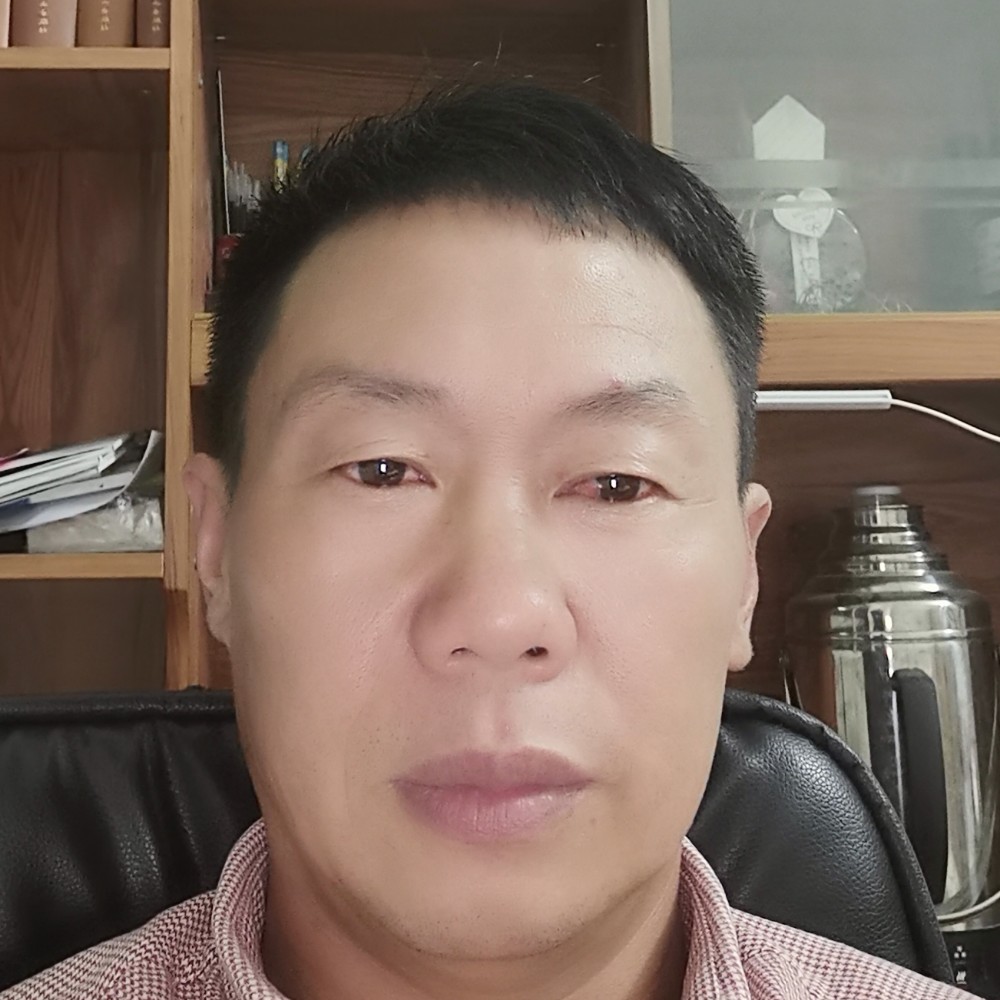 小鸽子刻苦的照片