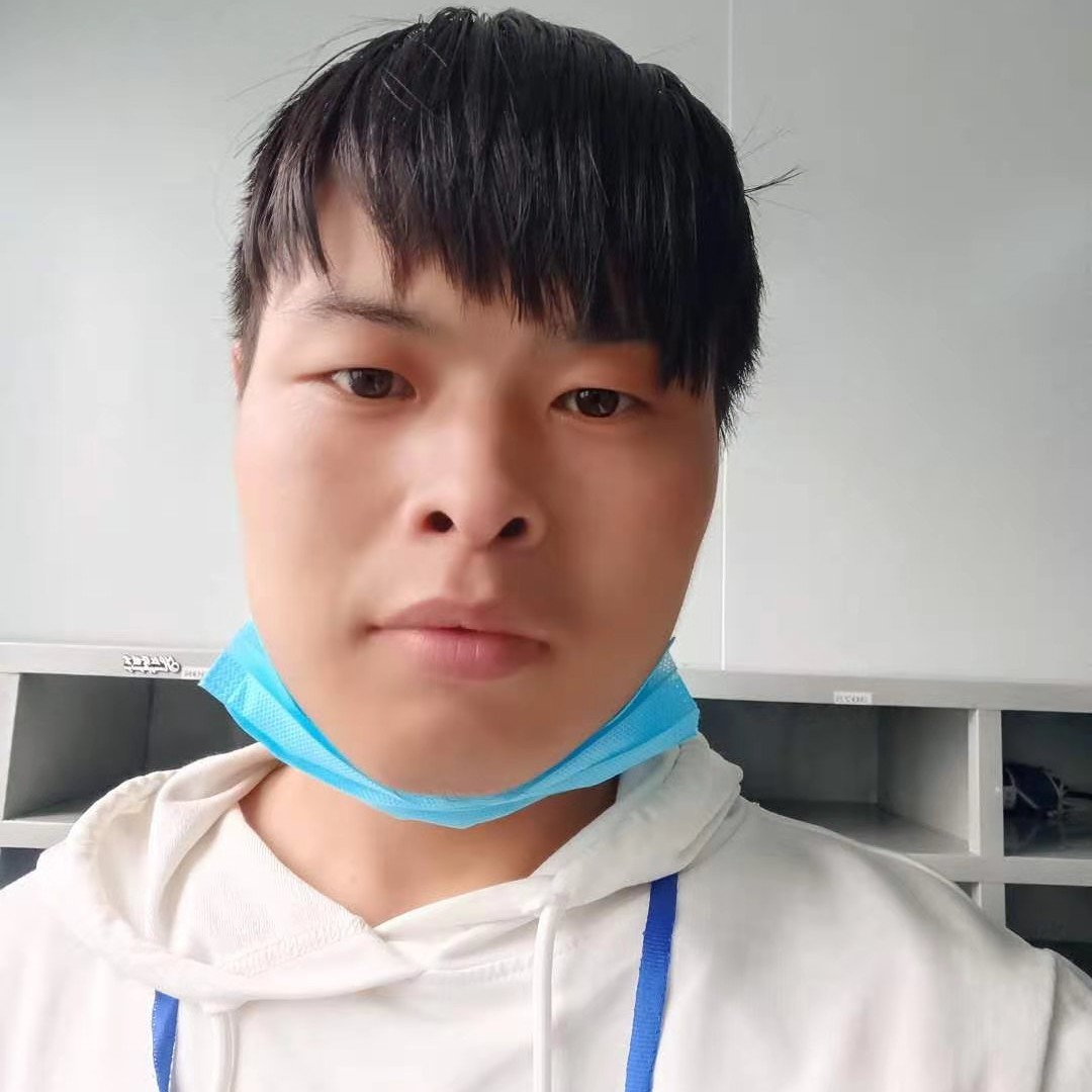 飞鸟的坚定的照片