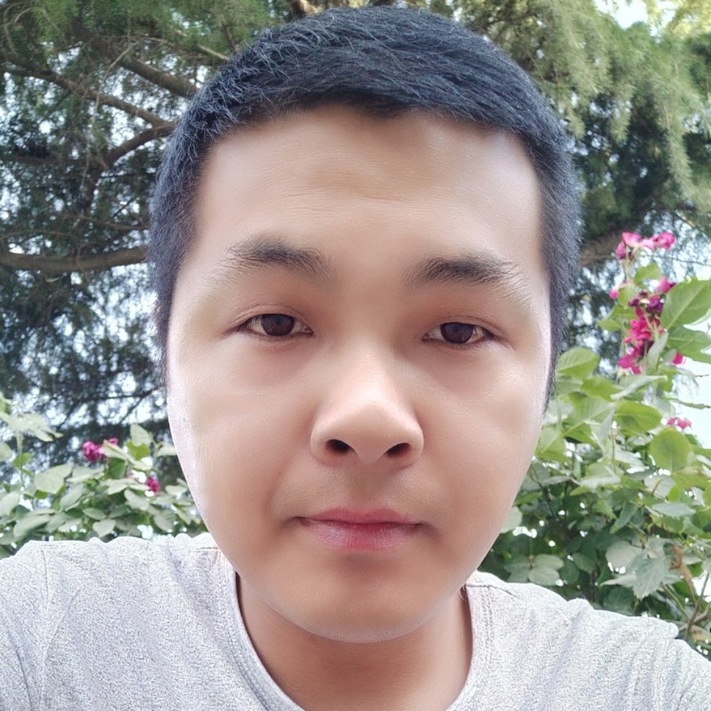 寒风无情的照片