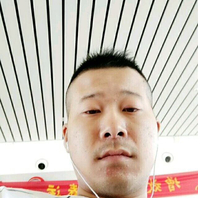 小熊猫打坦率的照片