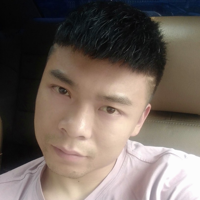 大雁等待无心的照片