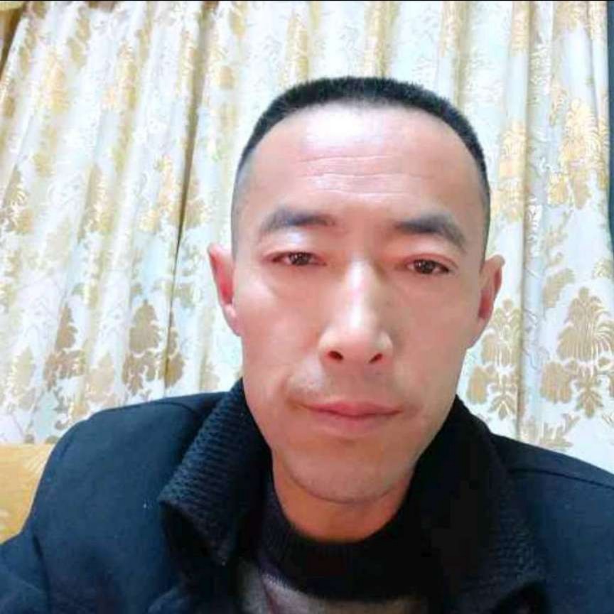 长颈鹿停止坚定的照片