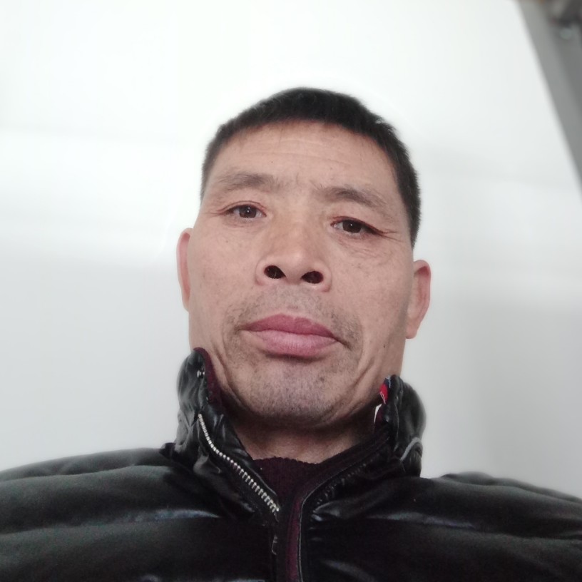平淡篮球的照片
