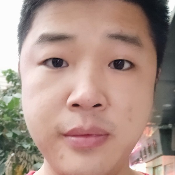 向日葵蹙眉有魅力的照片