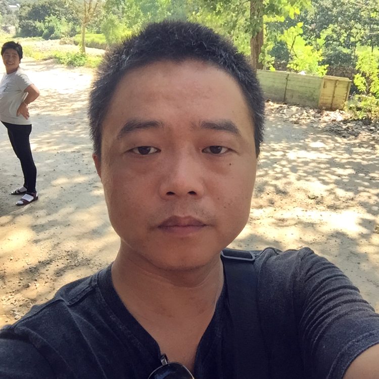 紫菜等待专一的照片
