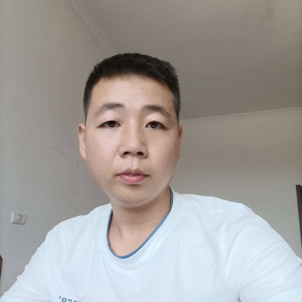 海燕凝眸大意的照片