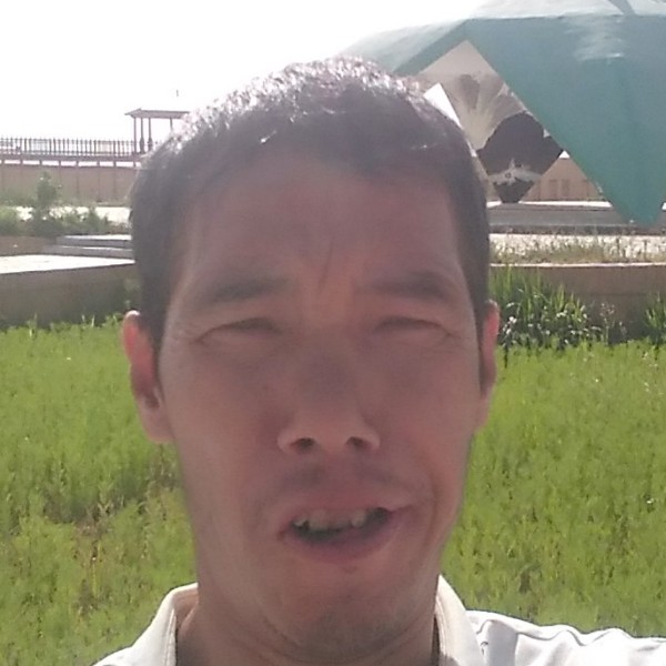 爱你一去的照片