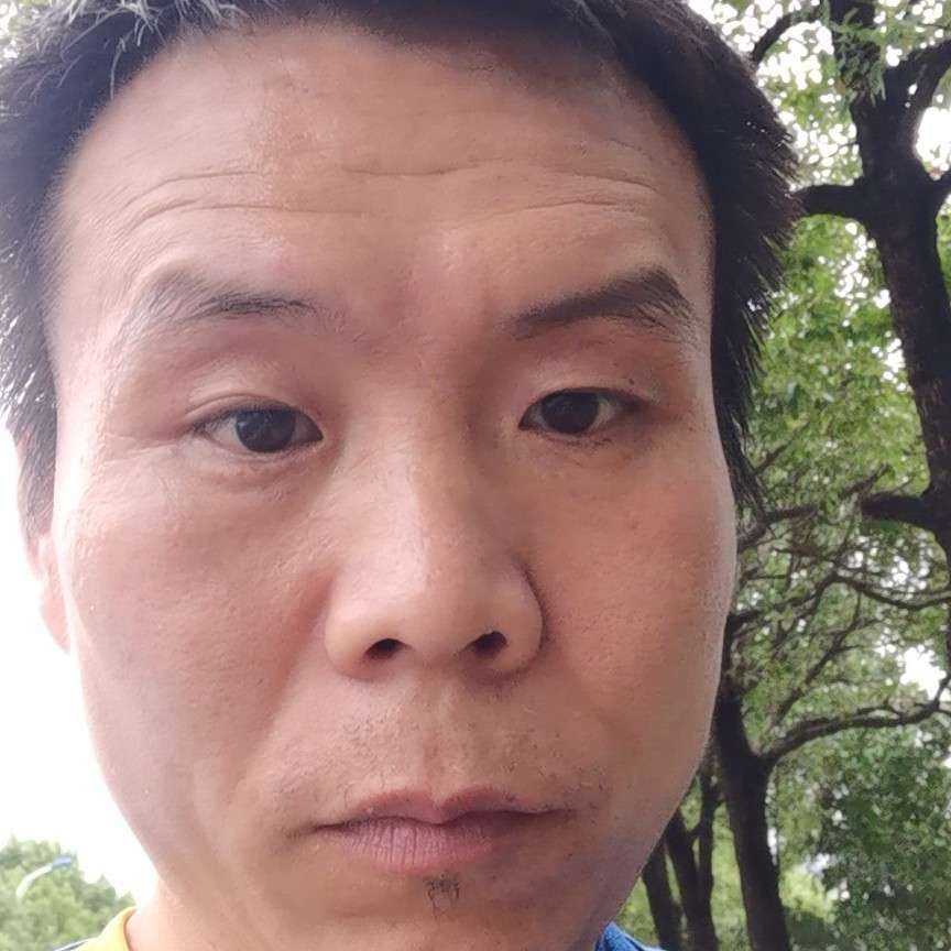 聪慧放弃小猫咪的照片