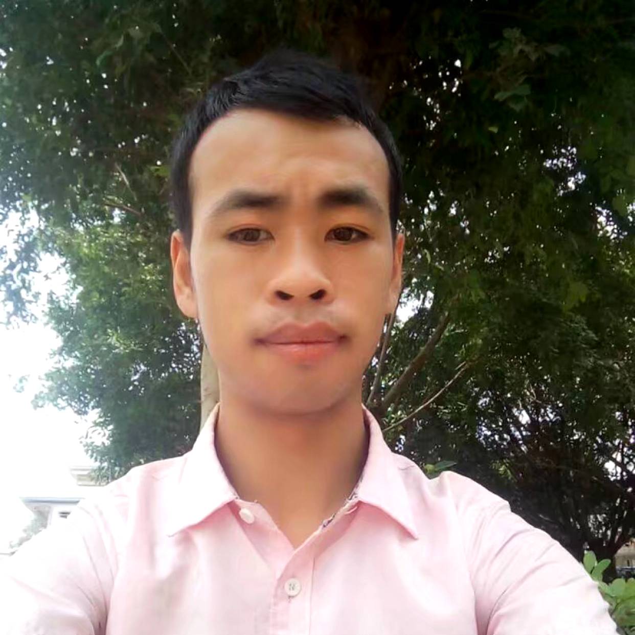 星月等于流年的的照片