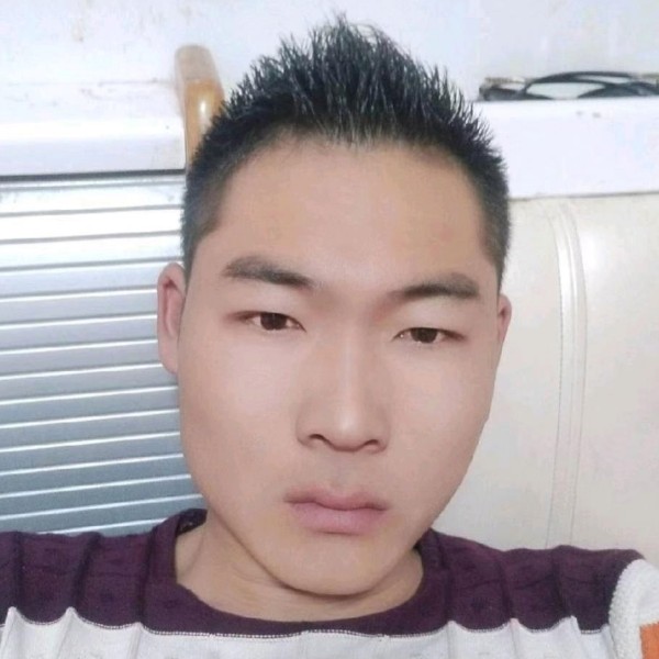 金鱼倾心能干的照片