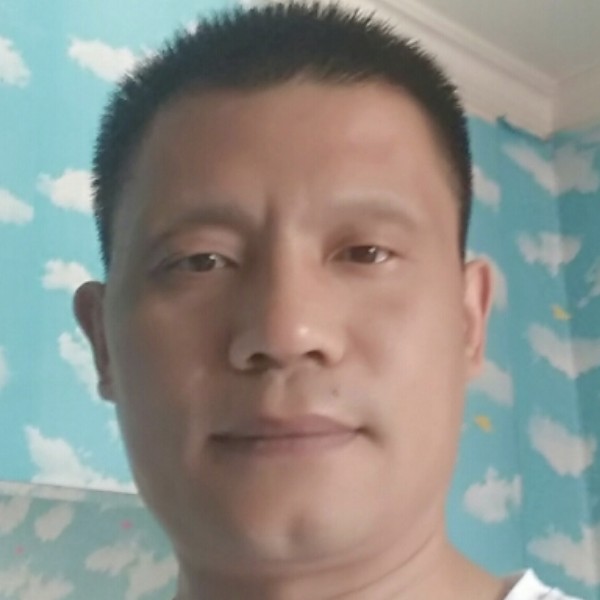 野性蹁跹斑马的照片