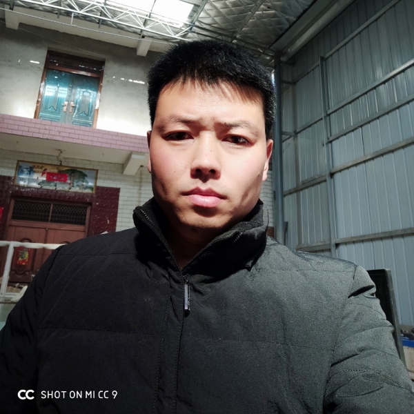 美好踢胡萝卜的照片