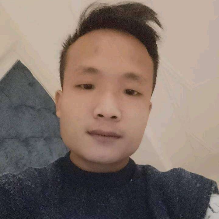 深情孤独的狼的照片