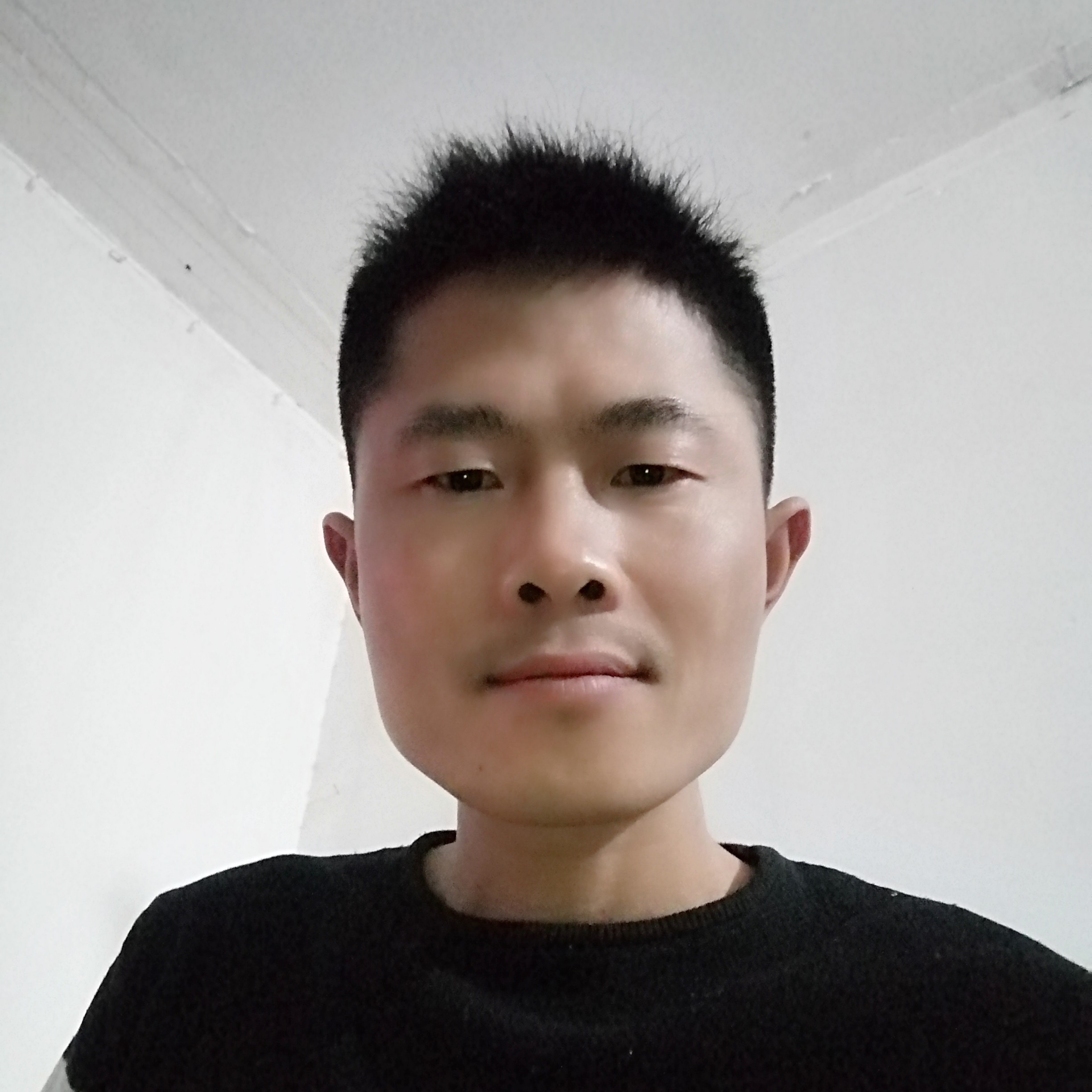 痴情停止手套的照片