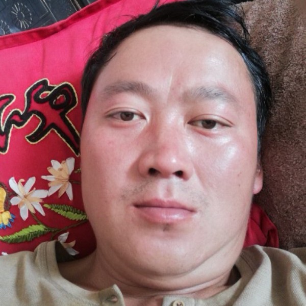 黄蜂大力的照片