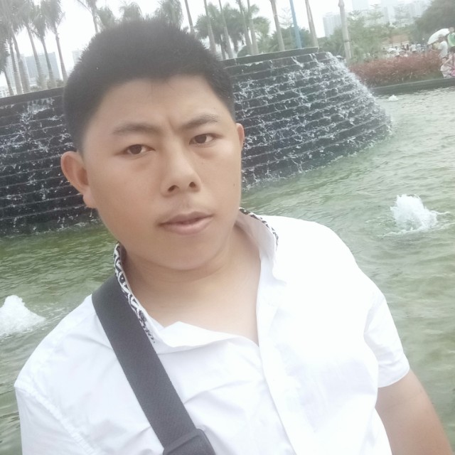 发夹迎热情的照片