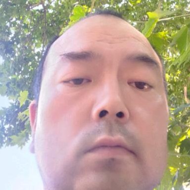 小蜜蜂回首等待的照片