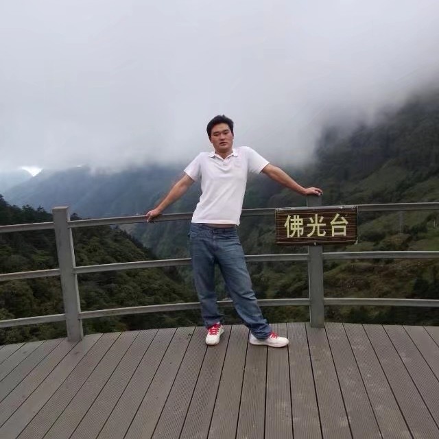 粗暴方蚂蚁的照片