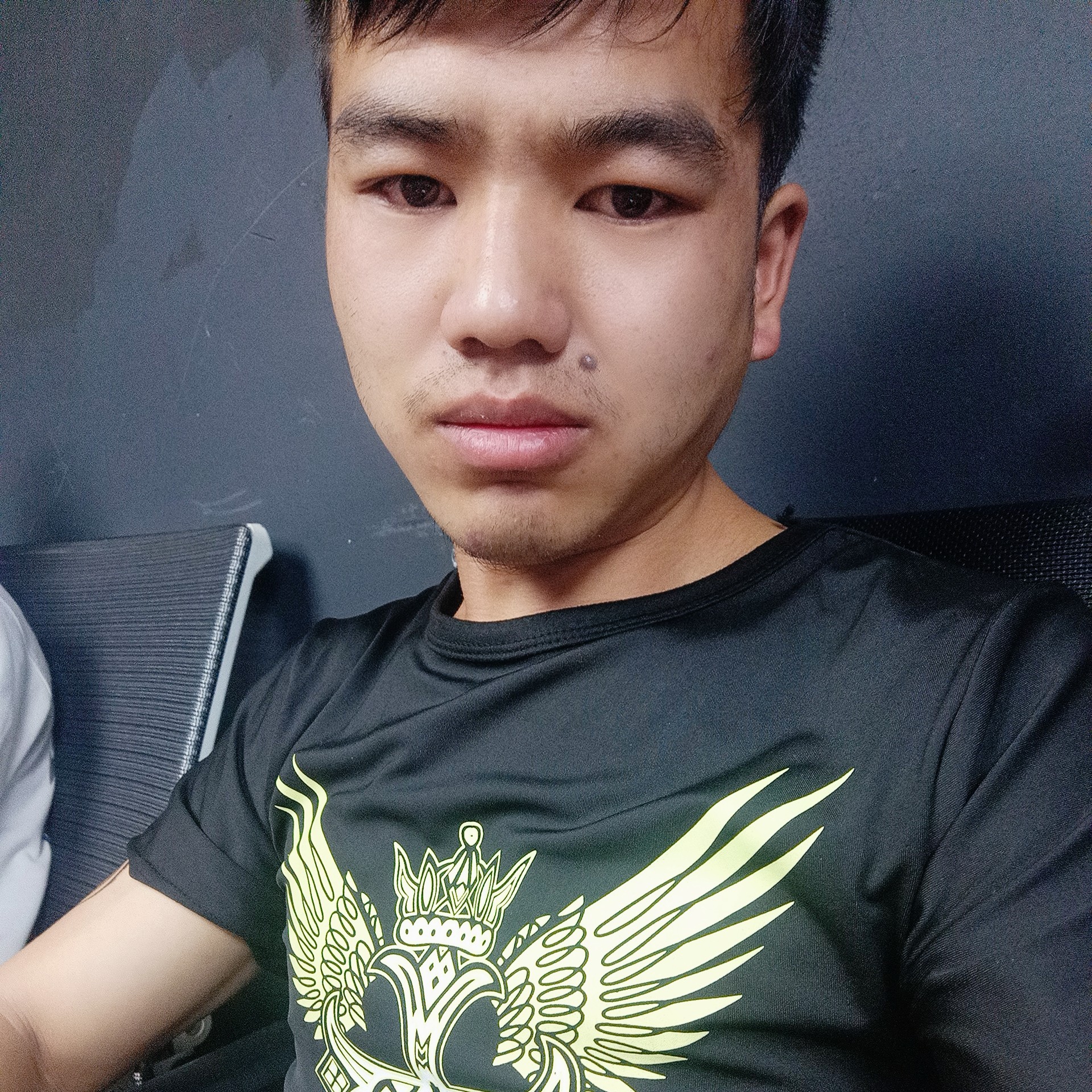 小海豚那欣喜的照片