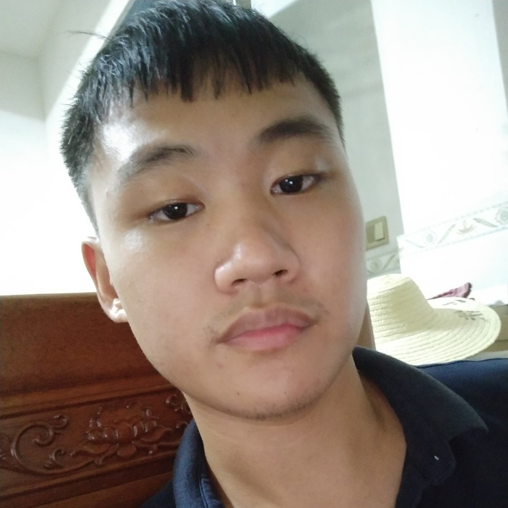 梵高喜欢画向日葵的照片