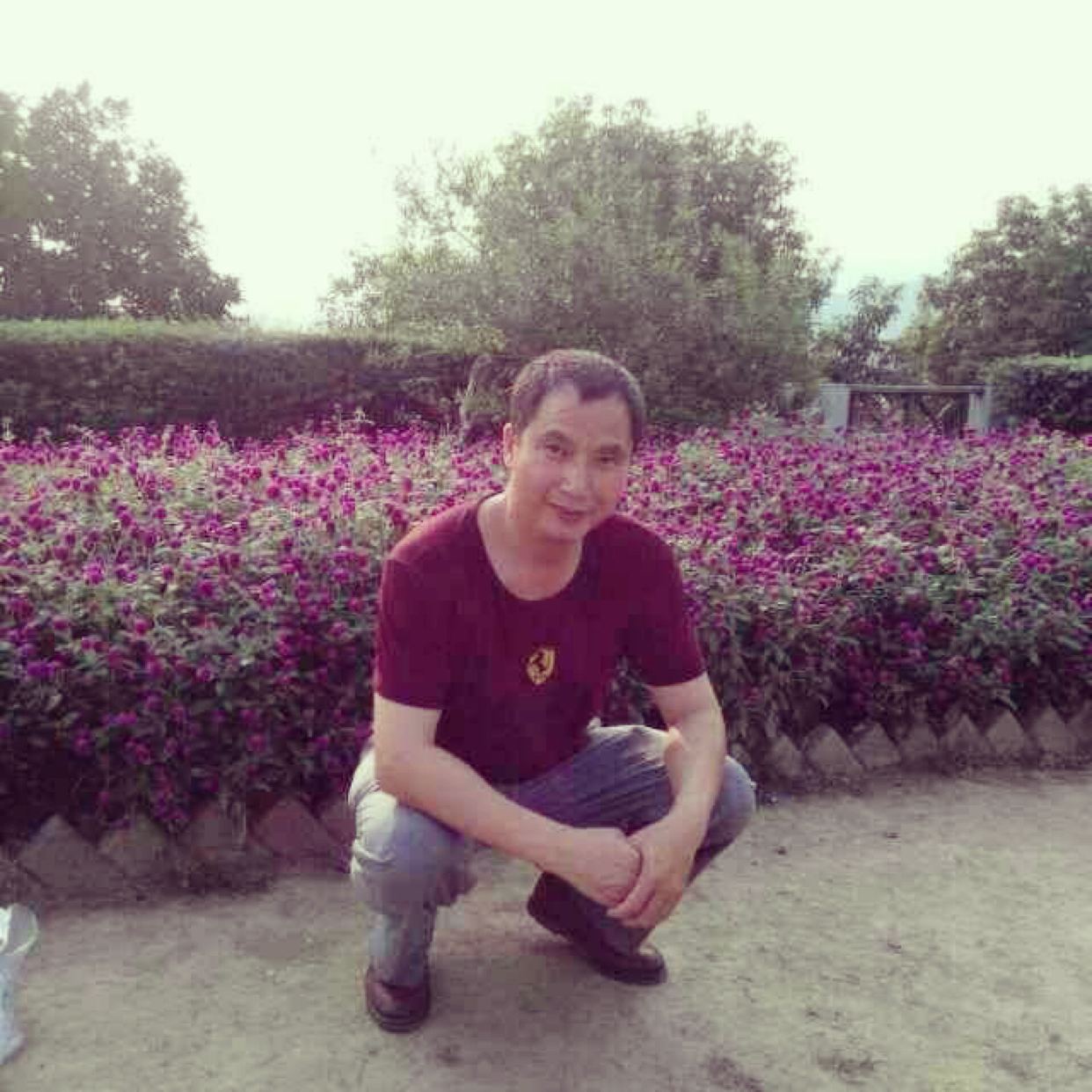 春天的浪漫之旅的照片