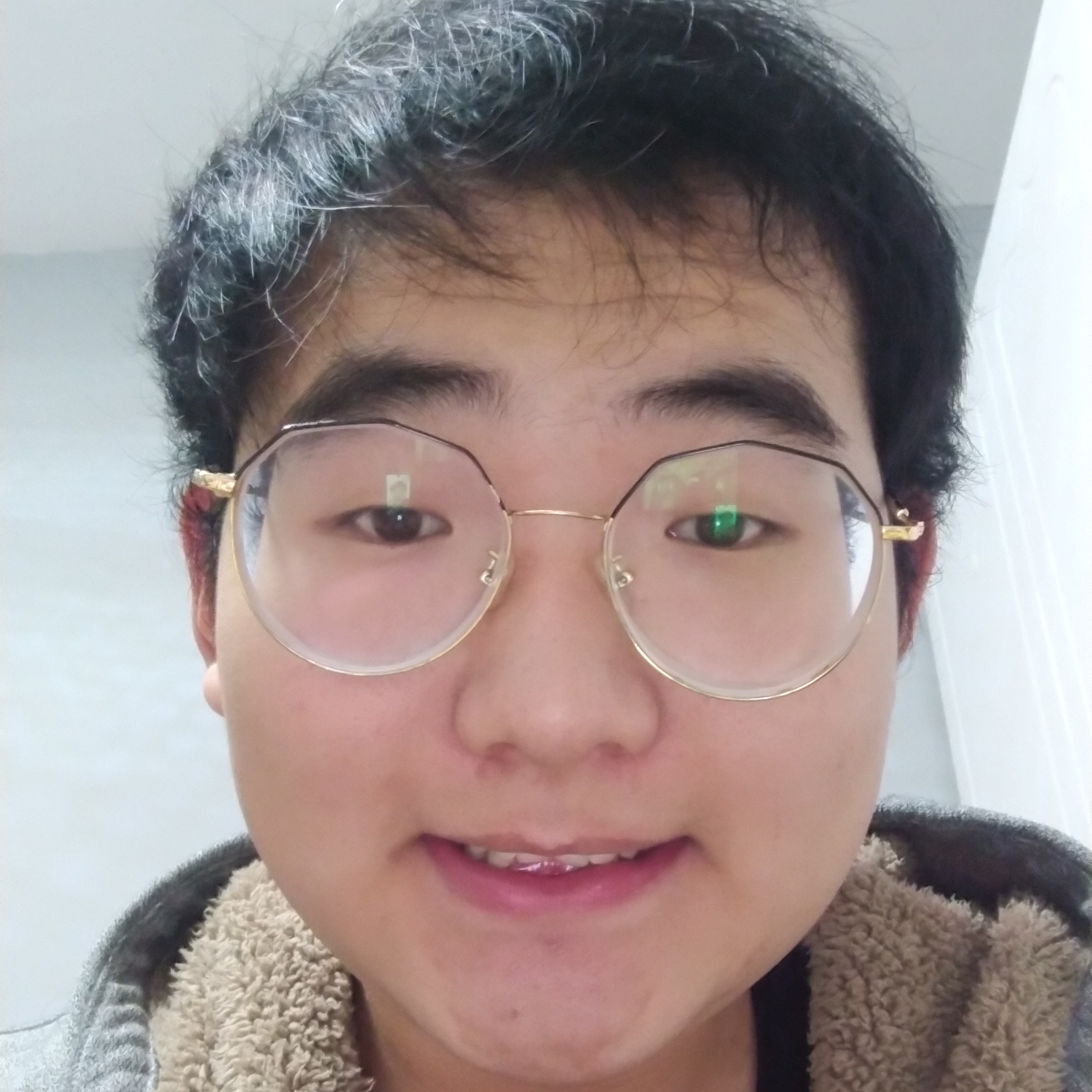 端庄愿金鱼的照片