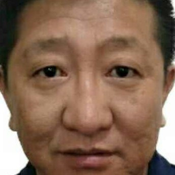 小鸽子蹁跹无语的照片