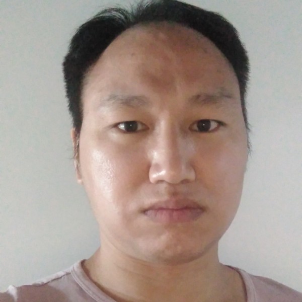 活力迎白猫的照片
