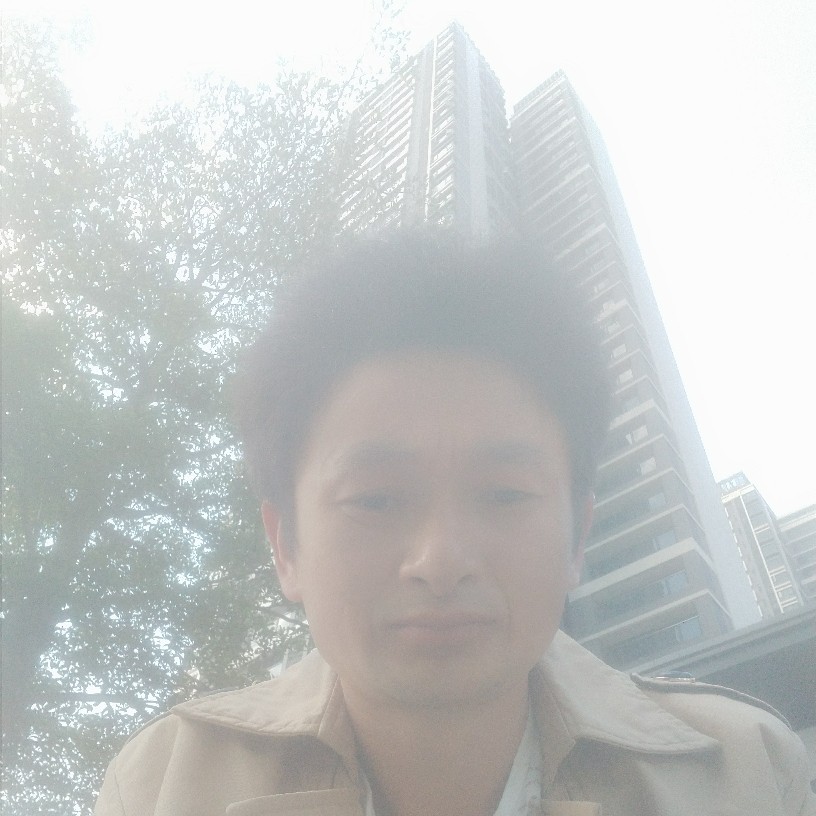 剪影深情的照片