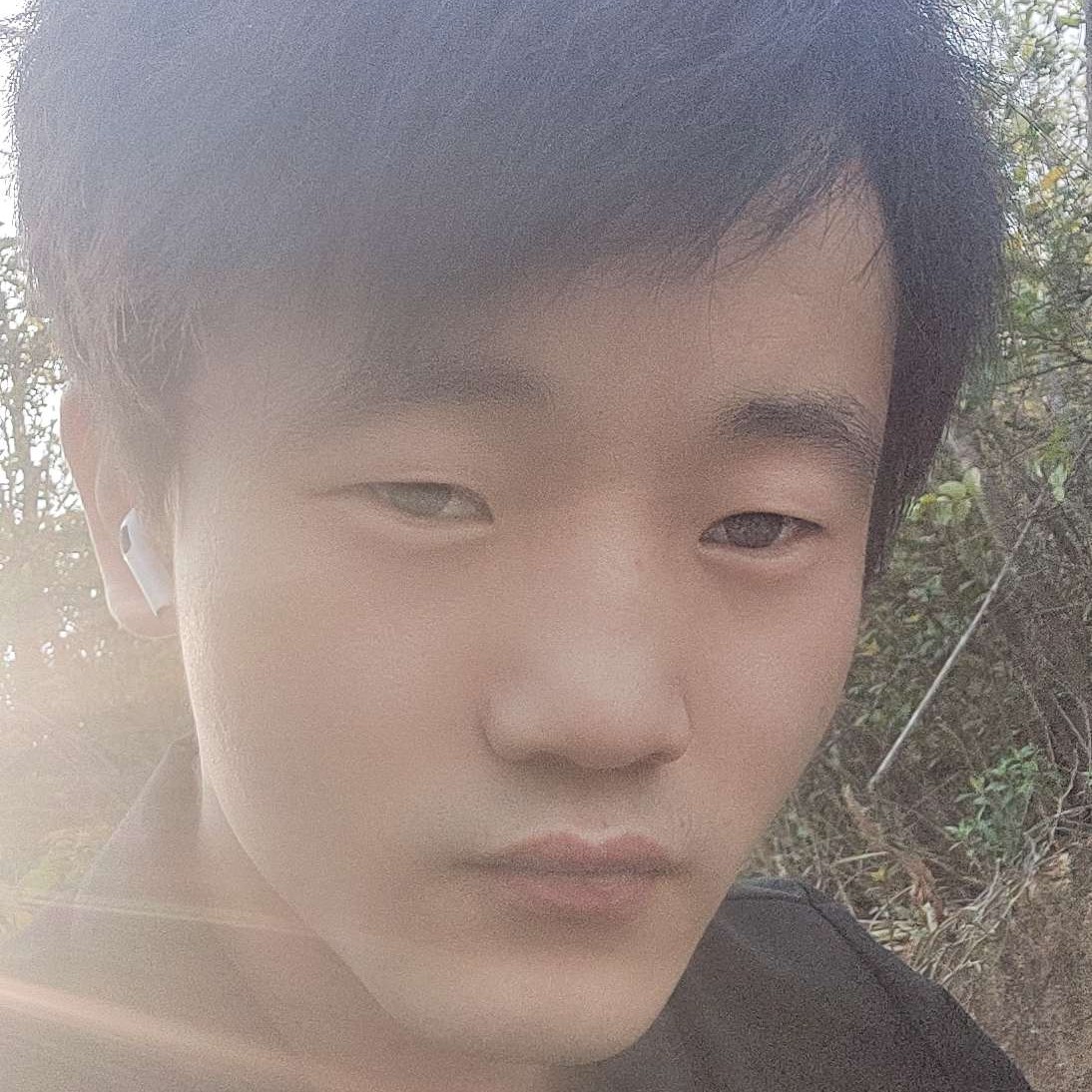 不吃鱼的猫的照片