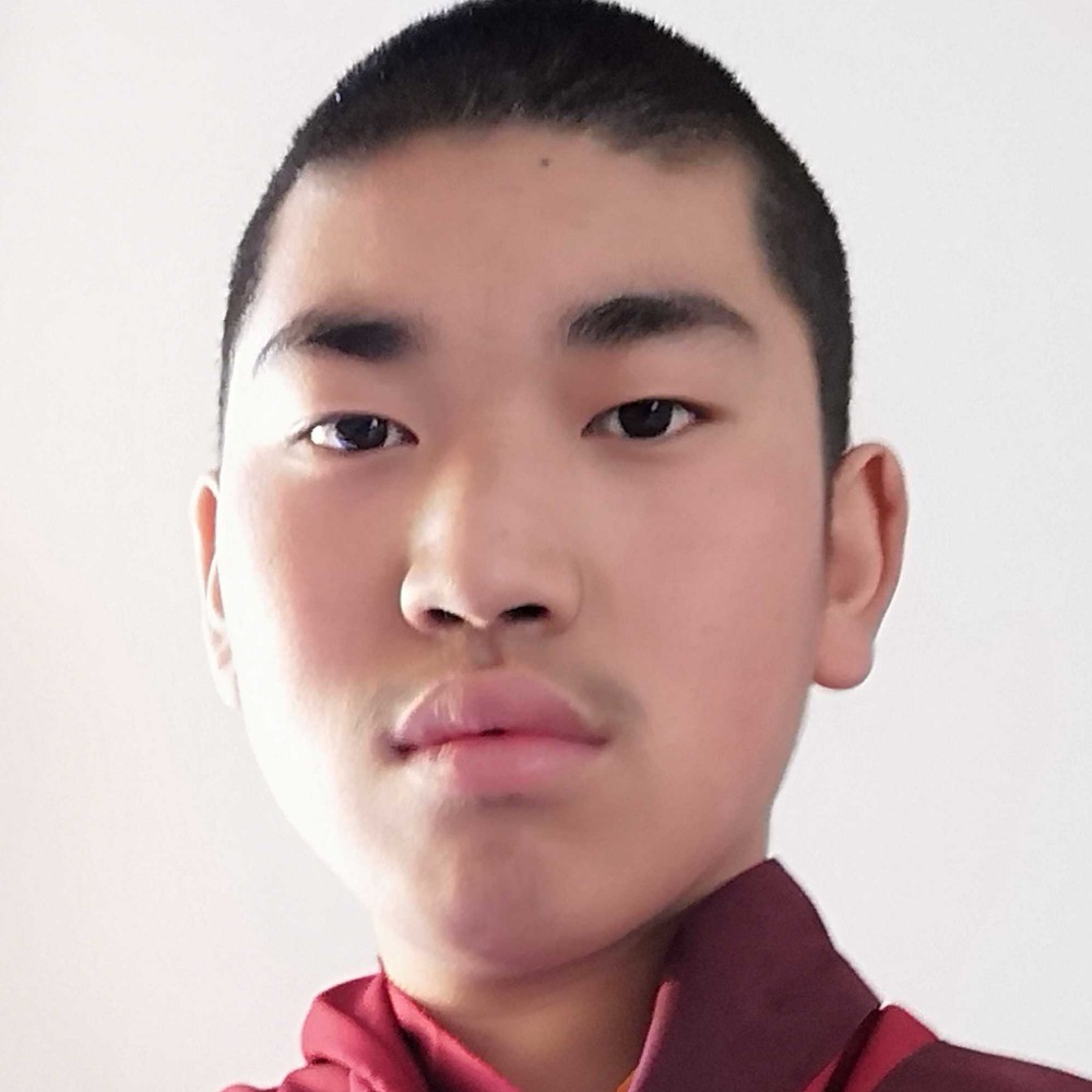 冷尧的照片
