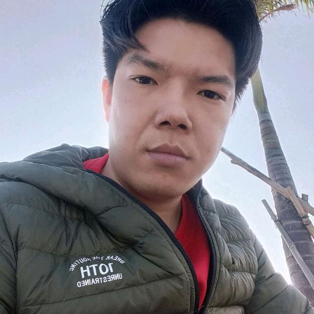 林间的小鹿的照片