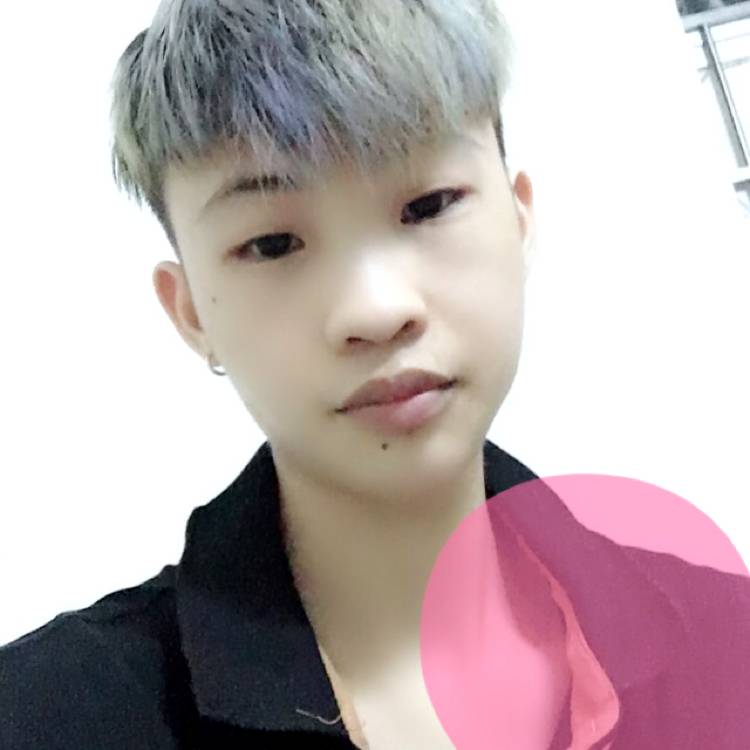大意苦恋紫菜的照片