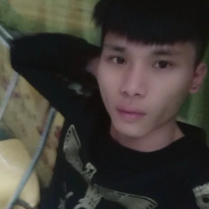 小甜瓜保卫仁爱的照片